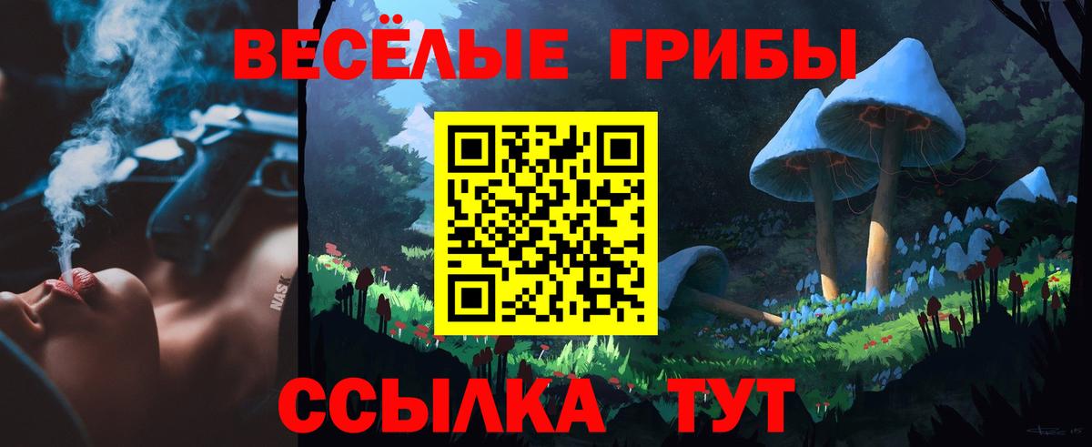 Галлюциногенные грибы Cubensis Советск